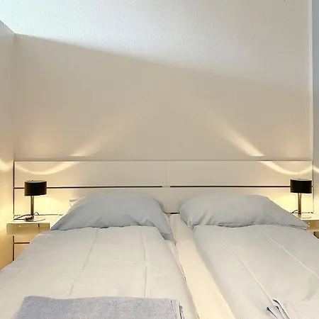 Steger-hues-app-21 *